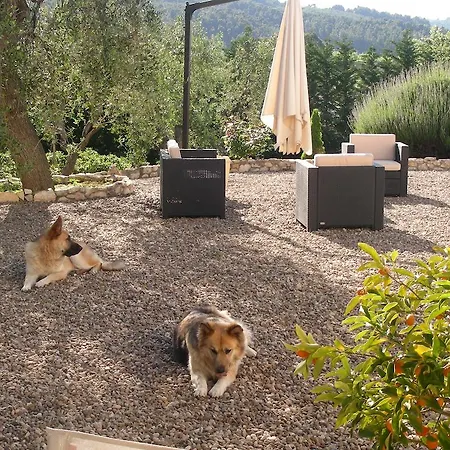 Poggio Di Luna Adults Only Peschici
