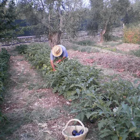 Farm stay Poggio Di Luna Adults Only Peschici