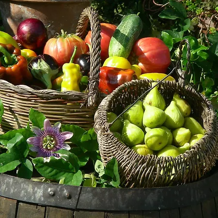Farm stay Poggio Di Luna Adults Only *
